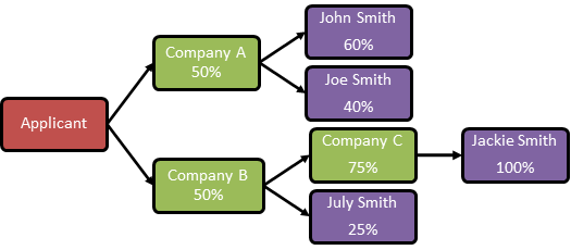 Figure 1: Example of a corporate ownership structure